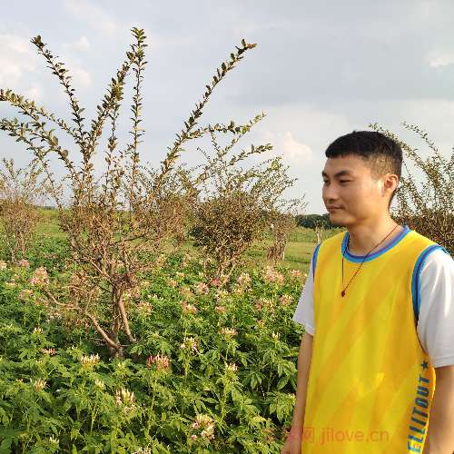 37岁岁广东单身帅哥 - 长治吉缘网